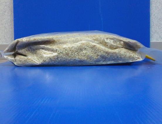 5kg Laminated 4 Side Seal Bag with Plastic Handle 1.jpg